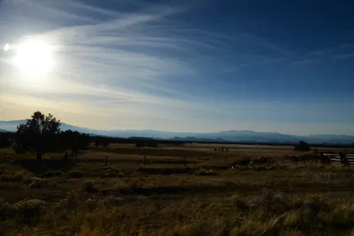 DSC_3013 (Large).JPG